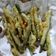 Cooksnap dari Dapur Esmo untuk resep Buncis goreng kriuk
