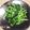 棠棠 的 炒菠菜 cooksnap
