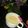 Cooksnap dari Nadine syahira untuk resep No-bake creme brulee