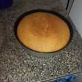 El cooksnap de dalyla04 cuando hizo Bizcochuelo 1234☆.
