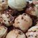 Cooksnap dari Kaulina Silvitiani untuk resep Poffertjes (Camilan Khas Belanda)