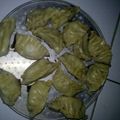 Cooksnap dari Lisha Aprilia untuk resep Gyouza/Dumpling Ayam