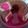 El cooksnap de Tamara cuando hizo Torta de Yogurt 🍓.