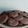 El cooksnap de Melileli cuando hizo Galletas de café y chocolate.