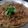 Saira Abdullah's cooksnap of when they made DALEEM / HALEEM.