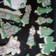 El cooksnap de Laura Parfeniuk cuando hizo Galletitas navideñas Prisca.