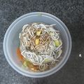 El cooksnap de Think Act cuando hizo Timbal de ensalada con gulas al ajillo.