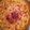 El cooksnap de Lucia Ribas cuando hizo Quiche de bacon y queso.