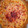El cooksnap de Lucia Ribas cuando hizo Quiche de bacon y queso.