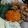 Cooksnap dari ira razak untuk resep Topping Mie Ayam Jamur Simple