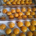 Cooksnap dari Dian Novita untuk resep Nastar 1/2 kg