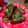 Cooksnap dari rere untuk resep Egg roll Tahu
