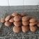 La cooksnap de Maria Del Mar Cotilla Atencia cuando cocinó Galletas de Nutella