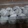 Cooksnap dari nina fachriany untuk resep Black Snow White Cookies
