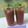 Asmita Rupani का कुकस्नैप जब उन्होंने तरबूज मोजीटो (tarbuj mojito recipe in Hindi) बनाया था।