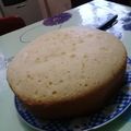El cooksnap de Dana cuando hizo Bizcochuelo esponjoso.