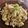 Simona 's cooksnap of when they made Vickys Spaghetti Carbonara with Vegan Option GF DF EF SF NF.