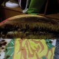 Cooksnap dari Salma Al Maidaniyyah untuk resep Martabak legit kenyal