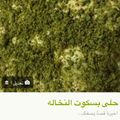 صورة من -Hamza Al Tayyar، شاركها بعد تجربة وصفة ليزي كيك 🍃🍇