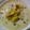 Anita Uttam Patel's cooksnap of when they made Kaddu Ki kheer.