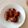 รูป Cooksnap ของ apple เมื่อเขาทำ ปีกไก่ทอดแบบง่ายๆ