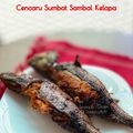 Cooksnap Sesimple Loralin semasa beliau membuat Ikan Cencaru Sumbat Belakang.