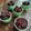 Cooksnap dari Nur Ikasari untuk resep Eggless Cup Cake Coklat Lembut