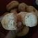 Cooksnap dari Linda Purnama Sari untuk resep Donat Kentang