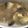 Cooksnap dari Silvina Nugrahwati Vina untuk resep Pindang ikan mujaer
