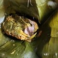 Cooksnap dari Rosalina Sulistyotuti untuk resep Pepes Ayam Kemangi Devina Hermawan