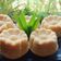 Cooksnap dari Frizka Arlyfia Firdha Shafara untuk resep Kue Apem Kukus Gula Merah tanpa Tape Singkong