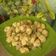 Cooksnap dari Ummi Al_Iya untuk resep Tahu Cabe Garam