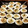 VeniSON's cooksnap of when they made u devil u, devilled eggs.