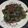 Puja Shaw's cooksnap of when they made মুলো শাক(Mulo shak recipe in Bengali).