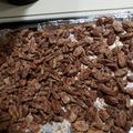 JS's cooksnap of when they made Cinnamon Sugar Candied Pecans.