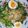 モチユキママ's cooksnap of when they made ご自宅で！ごまだれのラーメンサラダ.