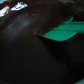 Cooksnap dari AISHA untuk resep Selai Cokelat Simpel