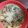 starlight26's cooksnap of when they made Tortellini soup.