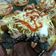 Cooksnap dari Wulan Cikland untuk resep Pizza low carb #keto #debm