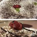 صورة من Mrs Ch3f، شاركها بعد تجربة وصفة حلا الكريم كراميل و الجيلي