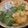 รูป Cooksnap ของ Sumet เมื่อเขาทำ แกงจืดไข่น้ำ