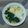 Cooksnap dari Siswaty Elfin Bachtiar untuk resep 64. Mie Instan Daun Kelor