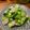 紀小慧 的 青江菜炒貢丸 cooksnap