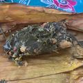 Cooksnap dari cook&bite untuk resep 506.Pepes Kembung Kemangi
