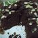 Cooksnap dari Mommynya Riana😍 untuk resep Fudgy Shiny Crust brownie