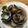 Sandy L 的 九層塔炒蛤蜊 cooksnap