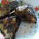 Cooksnap dari Wiwid Hanny Saputri untuk resep Gurami bakar bumbu rica-rica