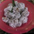 Cooksnap dari Insaning Yara untuk resep Klepon ubi isi gula Jawa