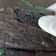 Cooksnap dari rita wahyuni untuk resep Chocolate Brownies Shiny and fudgy
