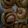 Cooksnap dari Laraslovesbaking untuk resep Homemade Cinnamon Rolls